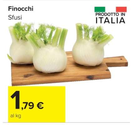 Finocchi
