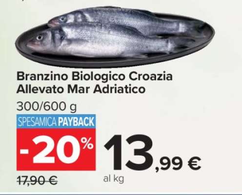 Branzino Biologico Croazia Allevato Mar Adriatico