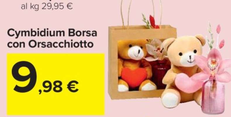 Cymbidium Borsa con Orsacchiotto