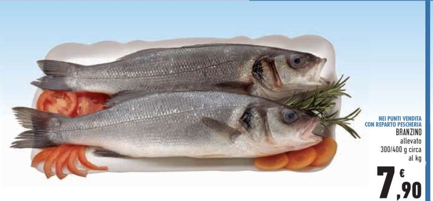 BRANZINO allevato