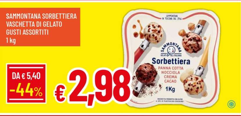 SAMMONTANA SORBETTIERA VASCHETTA DI GELATO GUSTI ASSORTITI