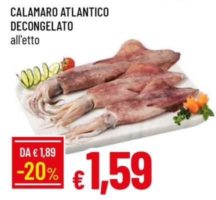 CALAMARO ATLANTICO DECONGELATO