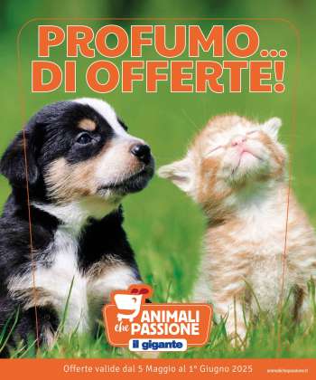 Volantino Il Gigante - 5/5/2025 - 1/6/2025.