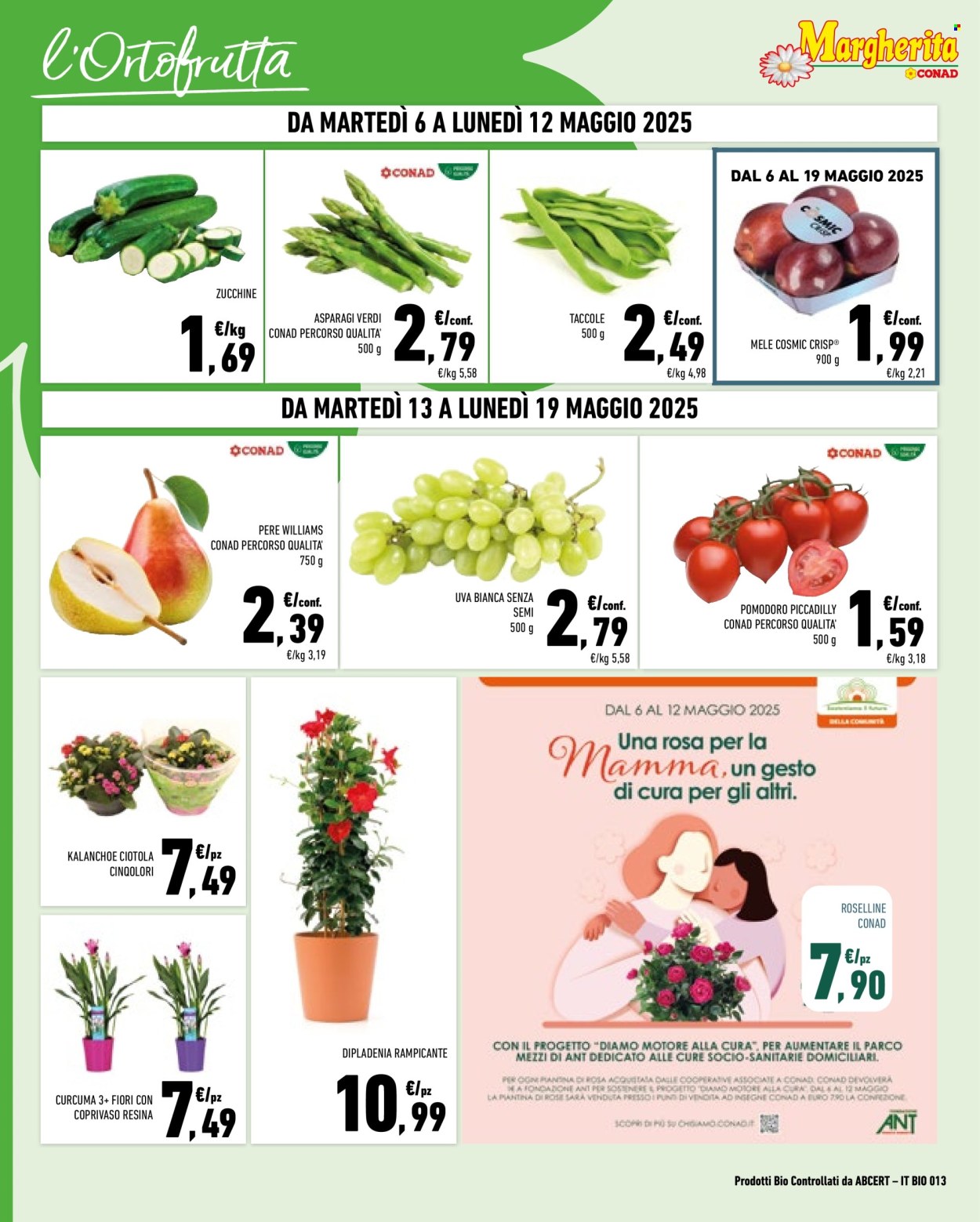 Volantino Margherita Conad - 6/5/2025 - 19/5/2025. Pagina 1
