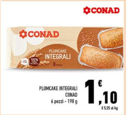 PLUMCAKE INTEGRALI