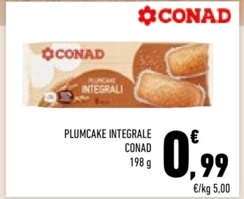 PLUMCAKE INTEGRALE