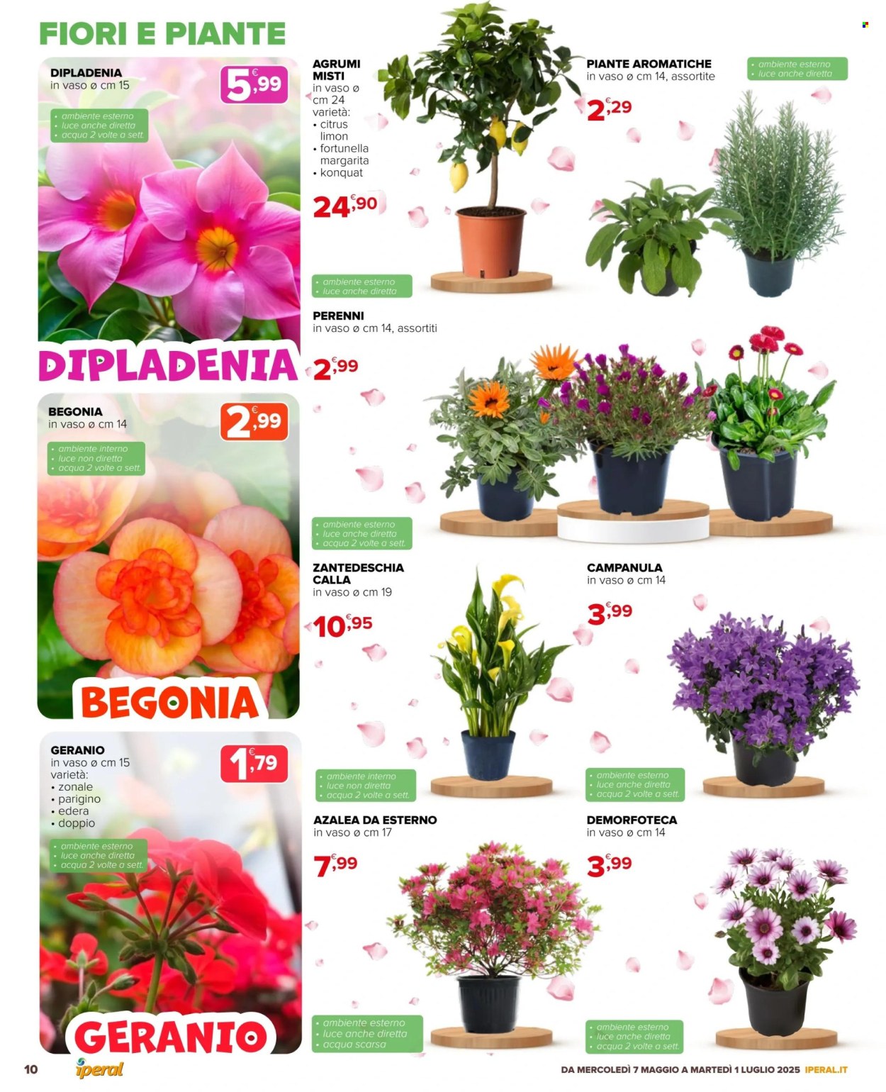 Volantino Iperal - 7/5/2025 - 1/7/2025. Pagina 1