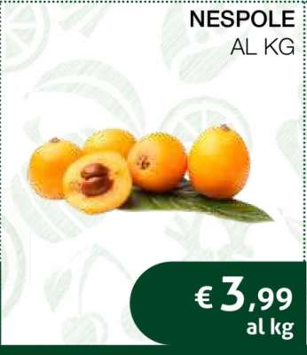 NESPOLE