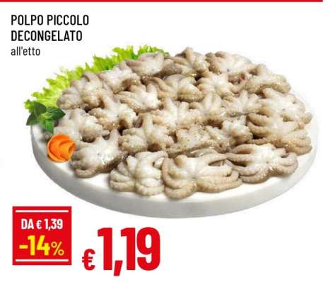 POLPO PICCOLO DECONGELATO