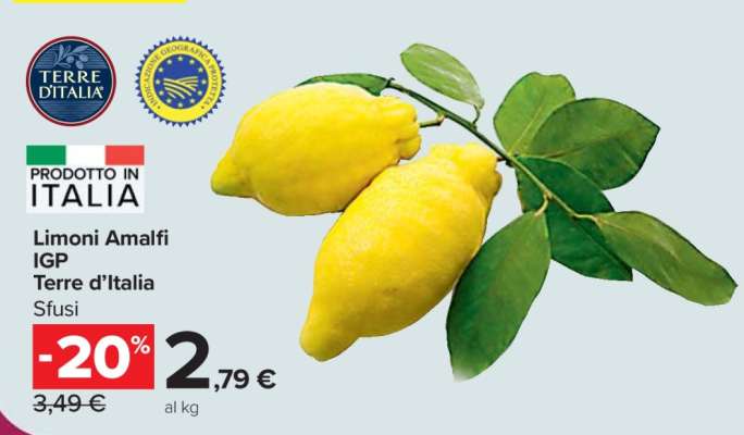Limoni Amalfi IGP