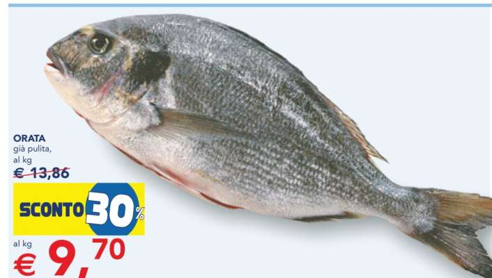 Orata
