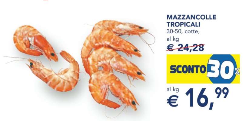 MAZZANCOLLE TROPICALI