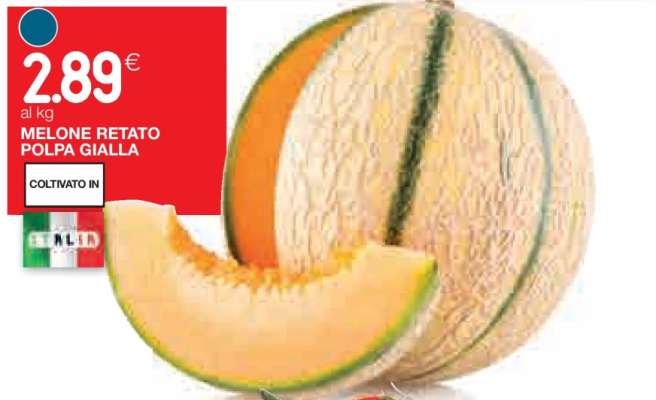 MELONE RETATO POLPA GIALLA