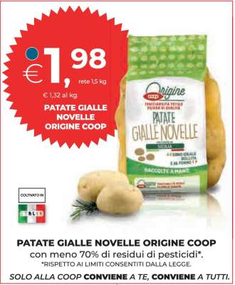 PATATE GIALLE NOVELLE ORIGINE COOP