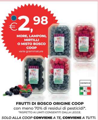 MORE, LAMPONI, MIRTILLI O MISTO BOSCO COOP