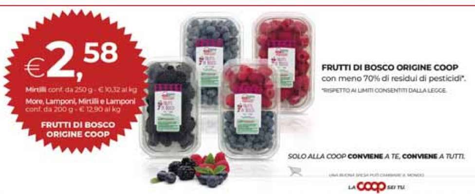 FRUTTI DI BOSCO ORIGINE COOP