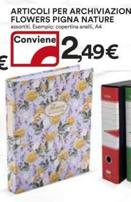 ARTICOLI PER ARCHIVIAZIONE FLOWERS PIGNA NATURE