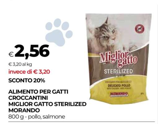 Miglior Gatto Sterilized Morando