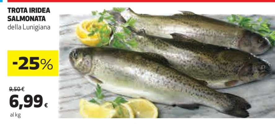 Trota Iridea Salmonata della Lunigiana