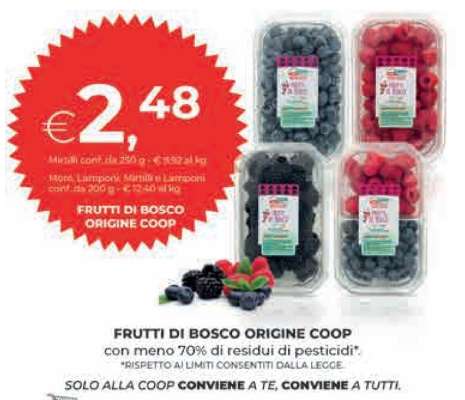 FRUTTI DI BOSCO ORIGINE COOP