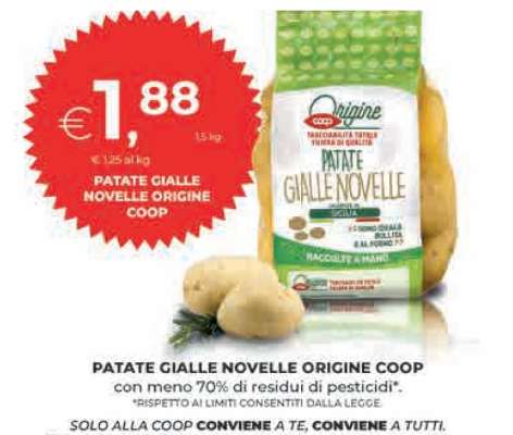 PATATE GIALLE NOVELLE ORIGINE COOP