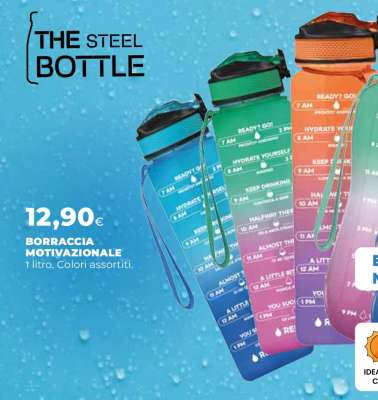 THE STEEL BOTTLE