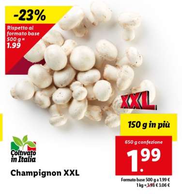 Champignon XXL