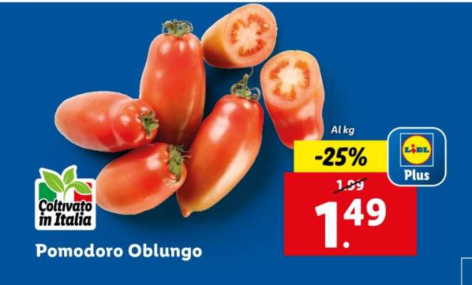 Pomodoro Oblungo