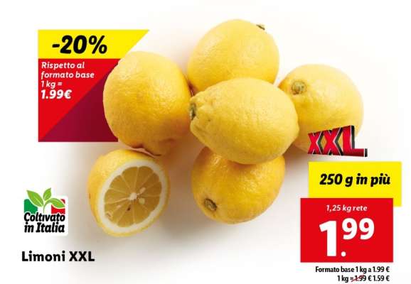 Limoni XXL
