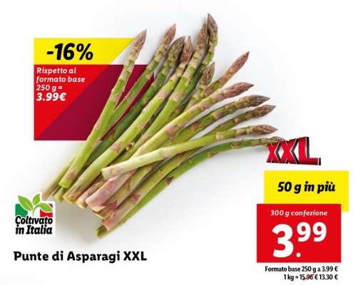Punte di Asparagi XXL
