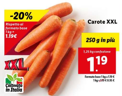 Carote XXL