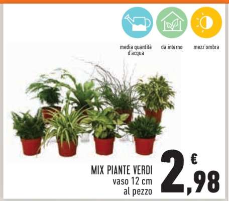 MIX PIANTE VERDI