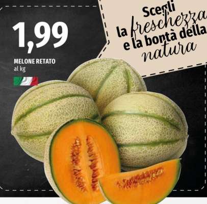 Melone Retato
