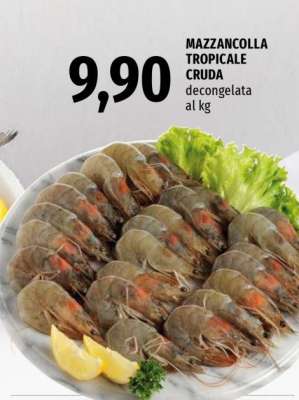Mazzancolla Tropicale Cruda