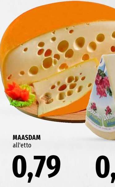 MAASDAM