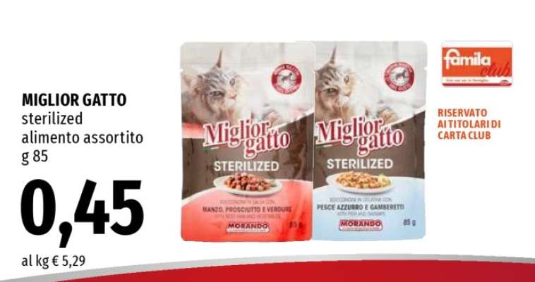 Miglior Gatto