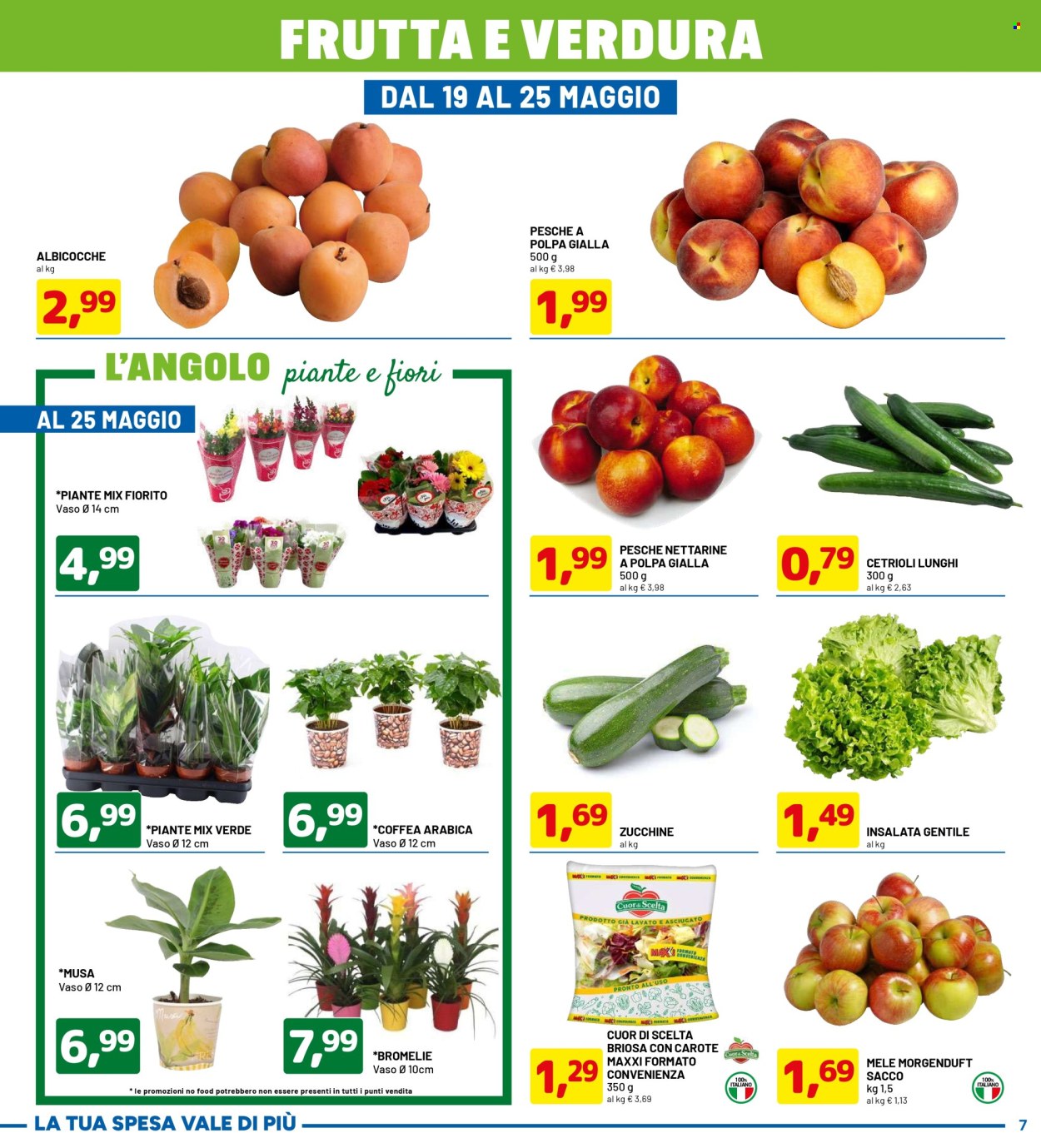 Volantino Dpiù - 12/5/2025 - 25/5/2025. Pagina 1