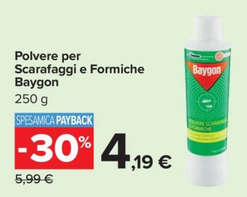 Polvere per Scarafaggi e Formiche Baygon