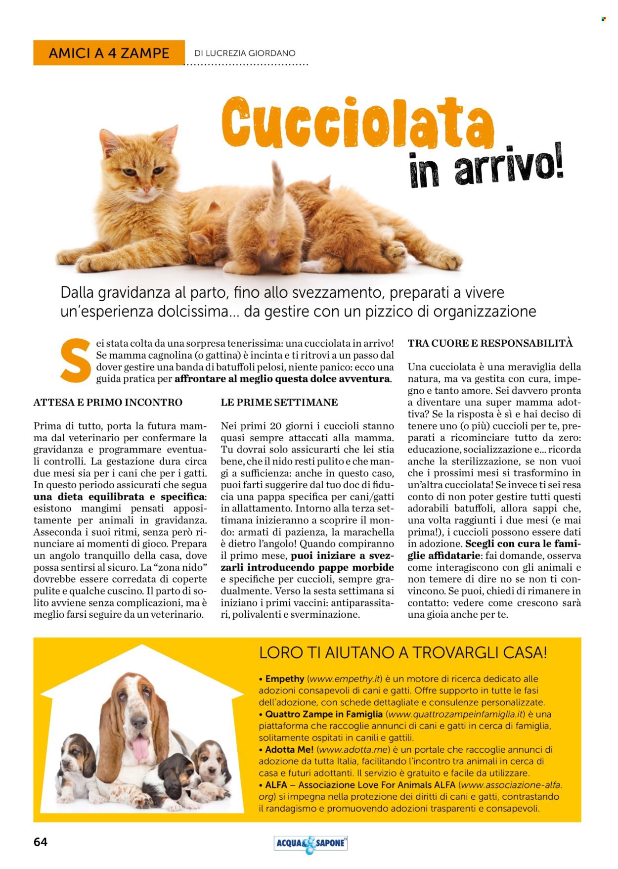 Volantino Acqua & Sapone - 1/5/2025 - 31/5/2025. Pagina 1
