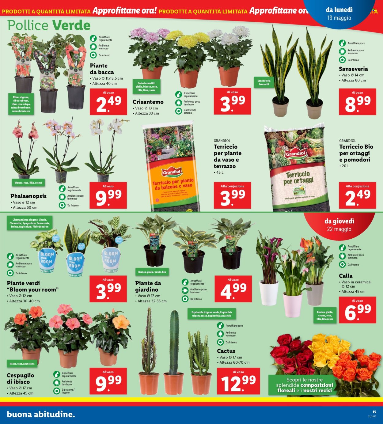 Volantino Lidl - 19/5/2025 - 25/5/2025. Pagina 1