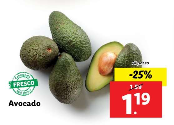 Avocado