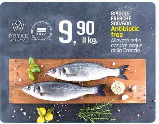 Spigole Fresche