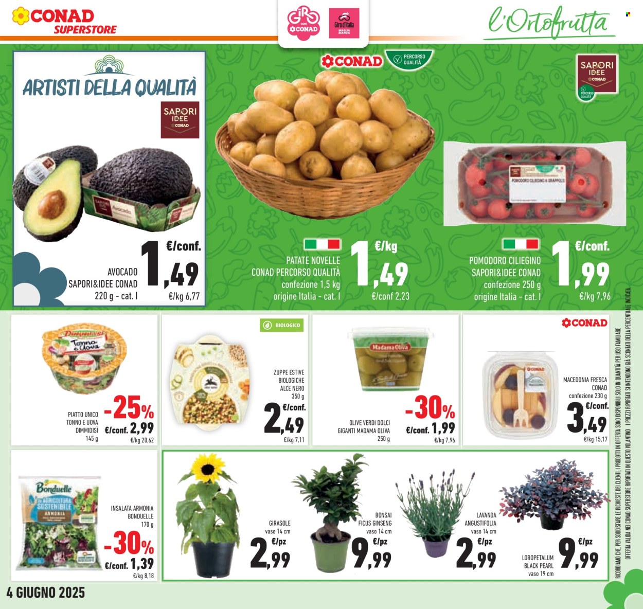 Leták Conad Superstore - 21.5.2025 - 4.6.2025. Strana 7