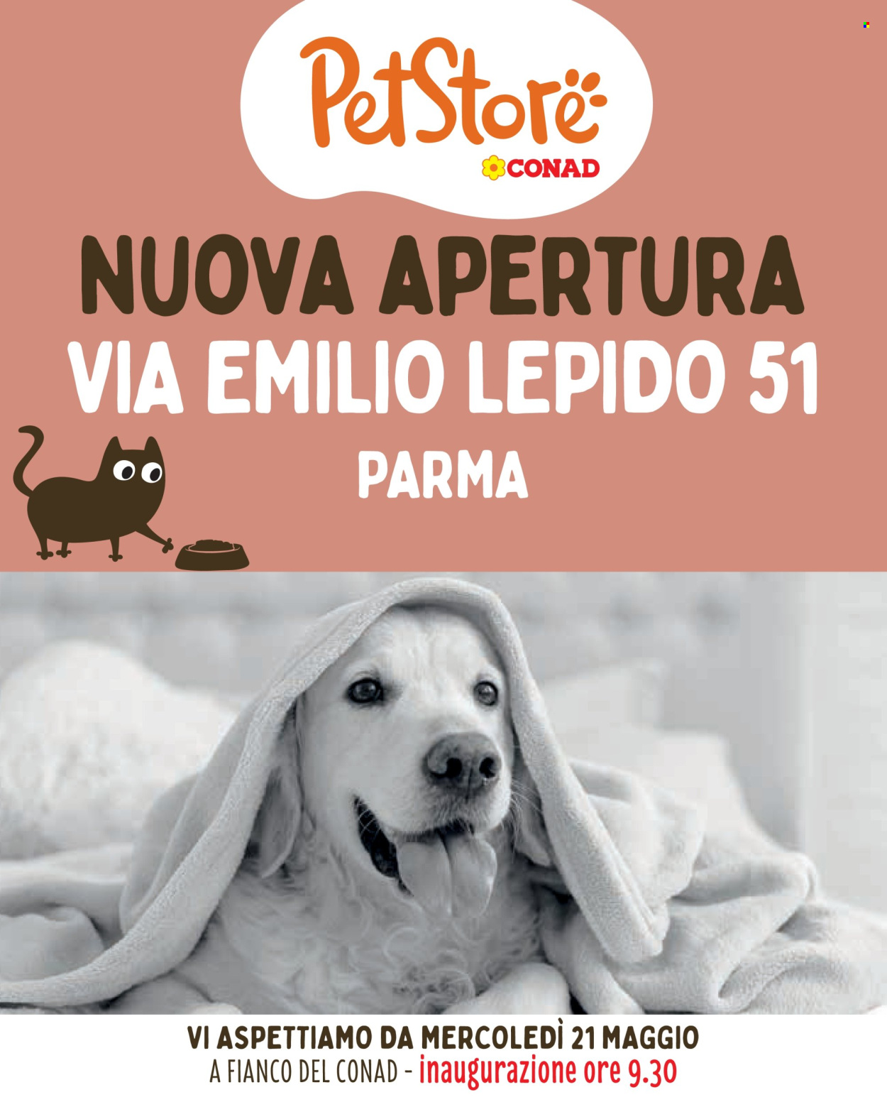Leták Pet Store Conad - 21.5.2025 - 17.6.2025. Strana 1