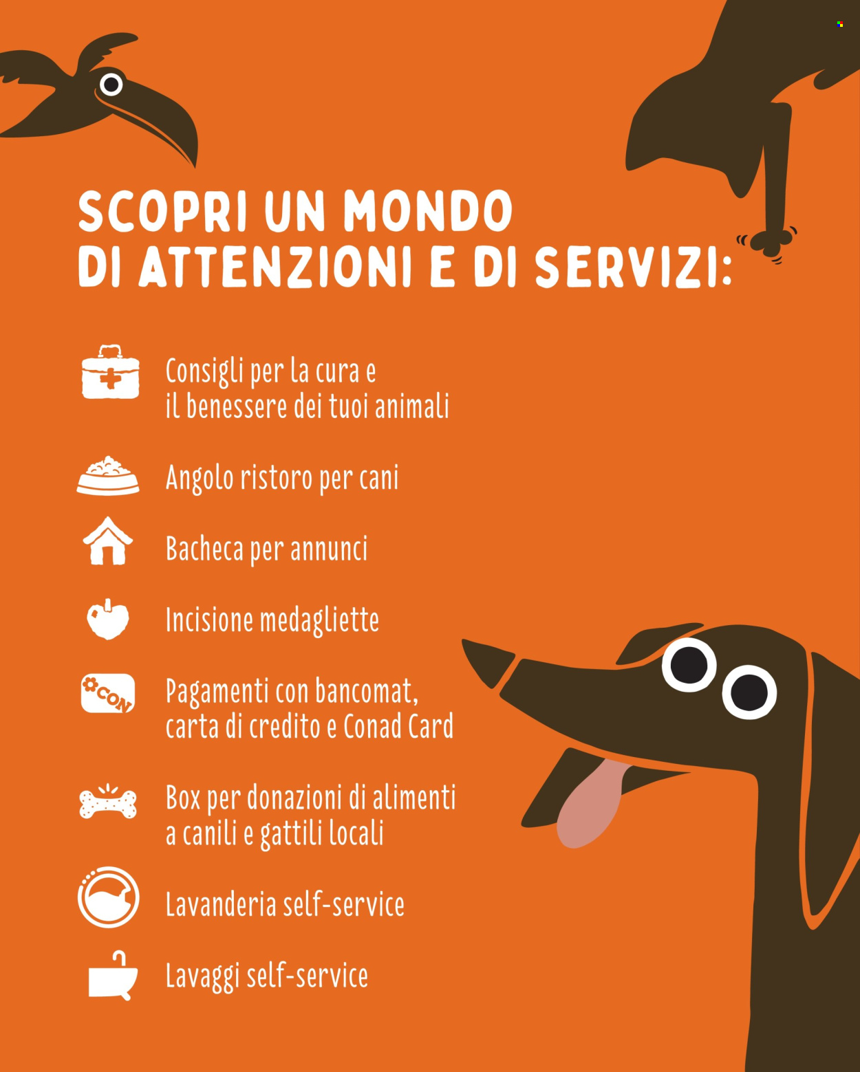 Leták Pet Store Conad - 21.5.2025 - 17.6.2025. Strana 3