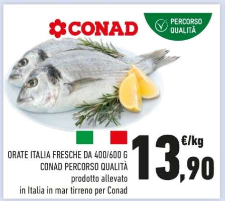 ORATE ITALIA FRESCHE DA 400/600 G