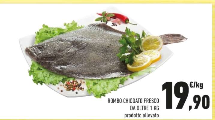 Rombo Chiodato Fresco