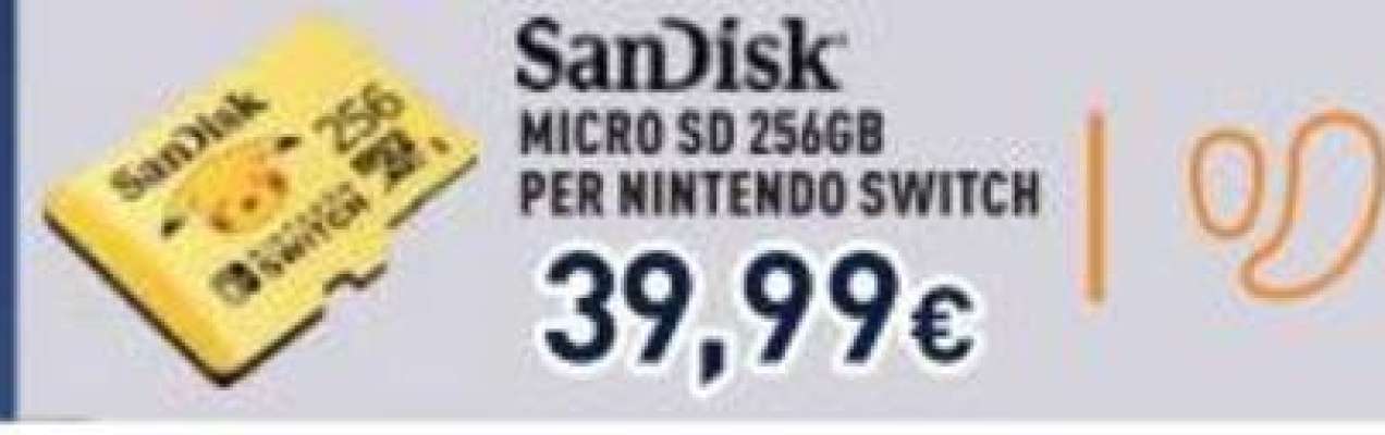SanDisk Micro SD 256GB