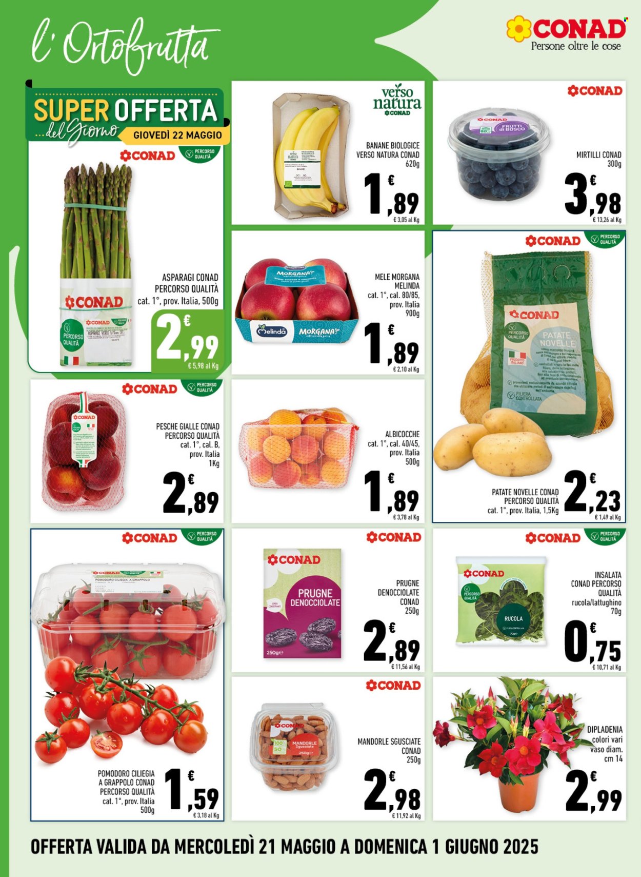 Leták Conad - 21.5.2025 - 1.6.2025. Strana 2