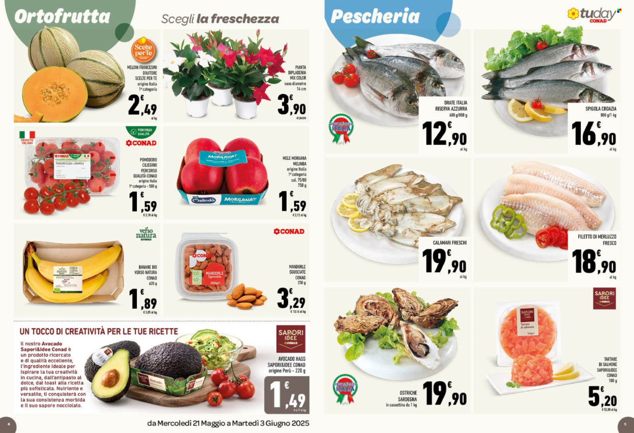 Volantino TuDay Conad - 21/5/2025 - 3/6/2025. Pagina 1